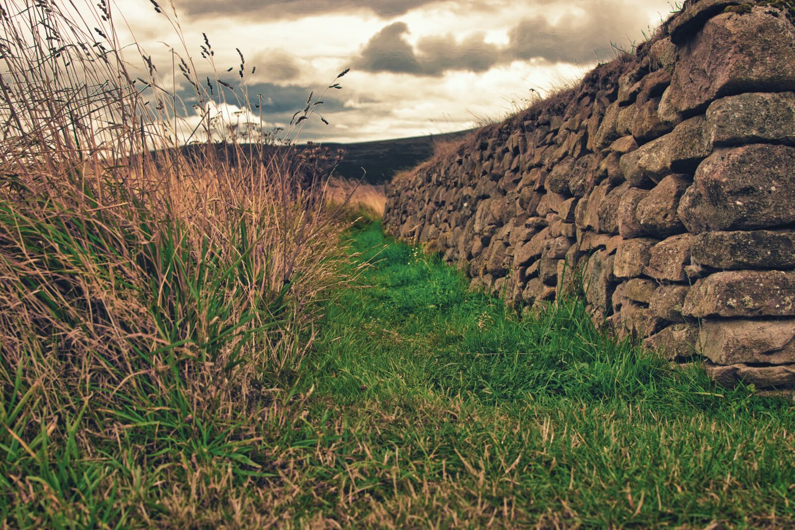 Nikon D5300 sample photo. Wall, old, meadow photography