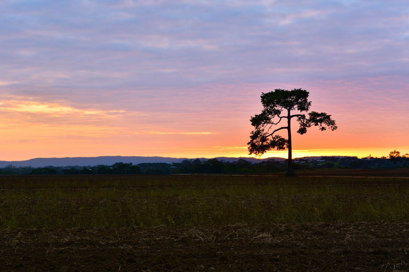 Nikon D7200 sample photo. Sunset, landscape, tree photography