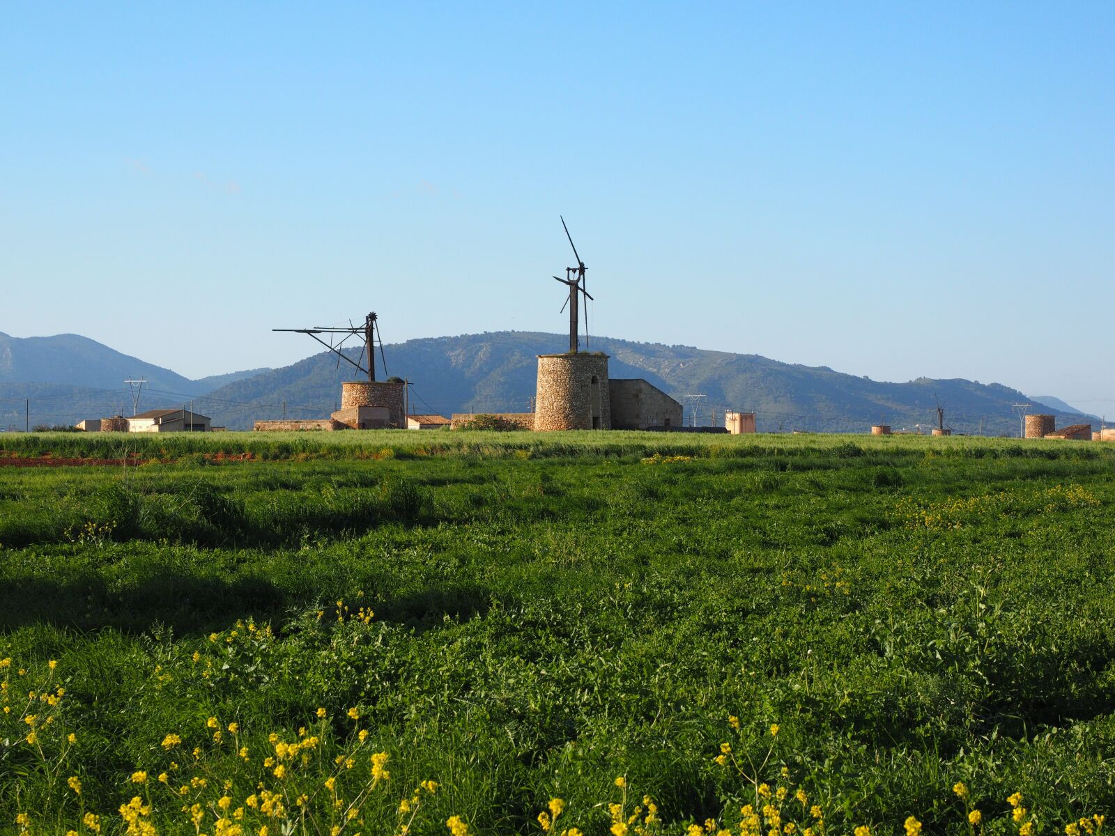 Olympus OM-D E-M1 + Olympus M.Zuiko Digital ED 12-40mm F2.8 Pro sample photo. Windmill, old, lapsed photography