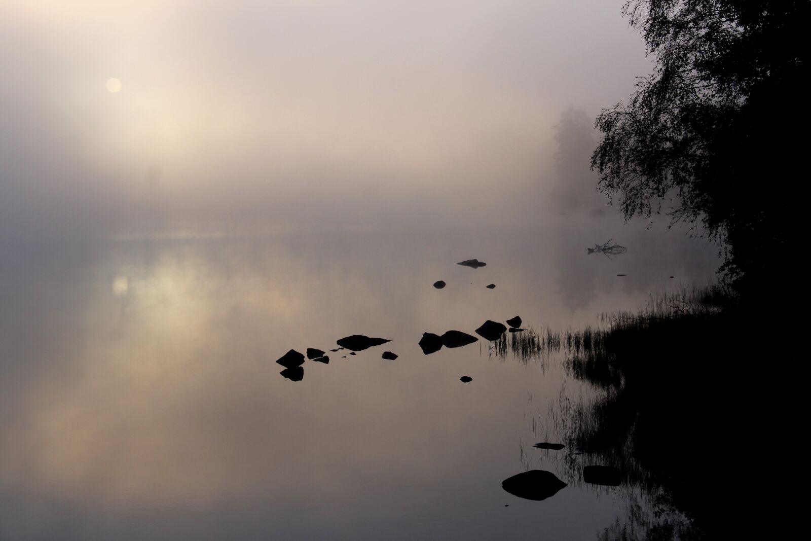 Canon EOS 500D (EOS Rebel T1i / EOS Kiss X3) sample photo. Morning, mist, lake photography