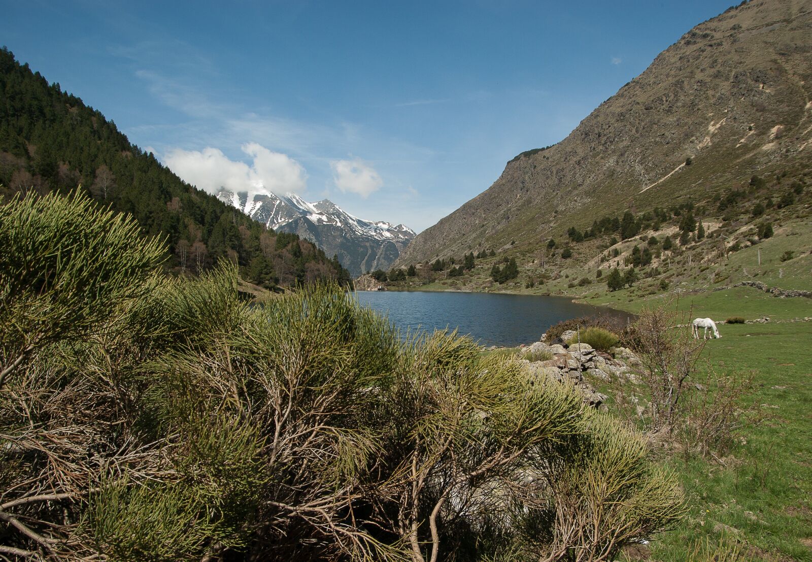 Pentax K10D sample photo. France, pyr n es photography