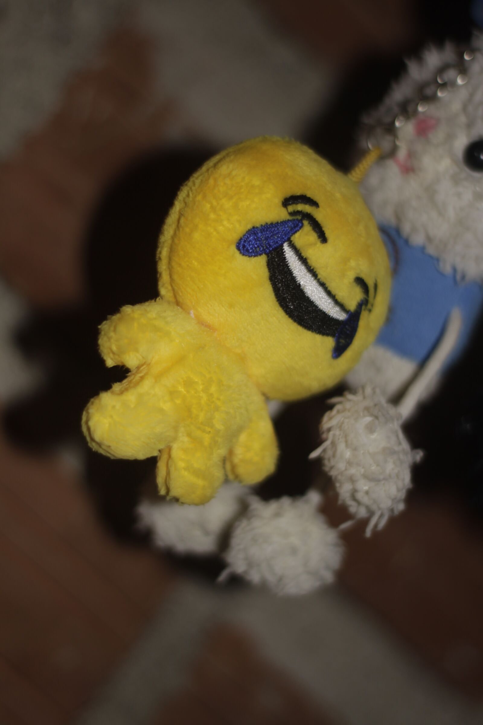 Canon EOS 50D sample photo. Teddy, chiquito, he photography