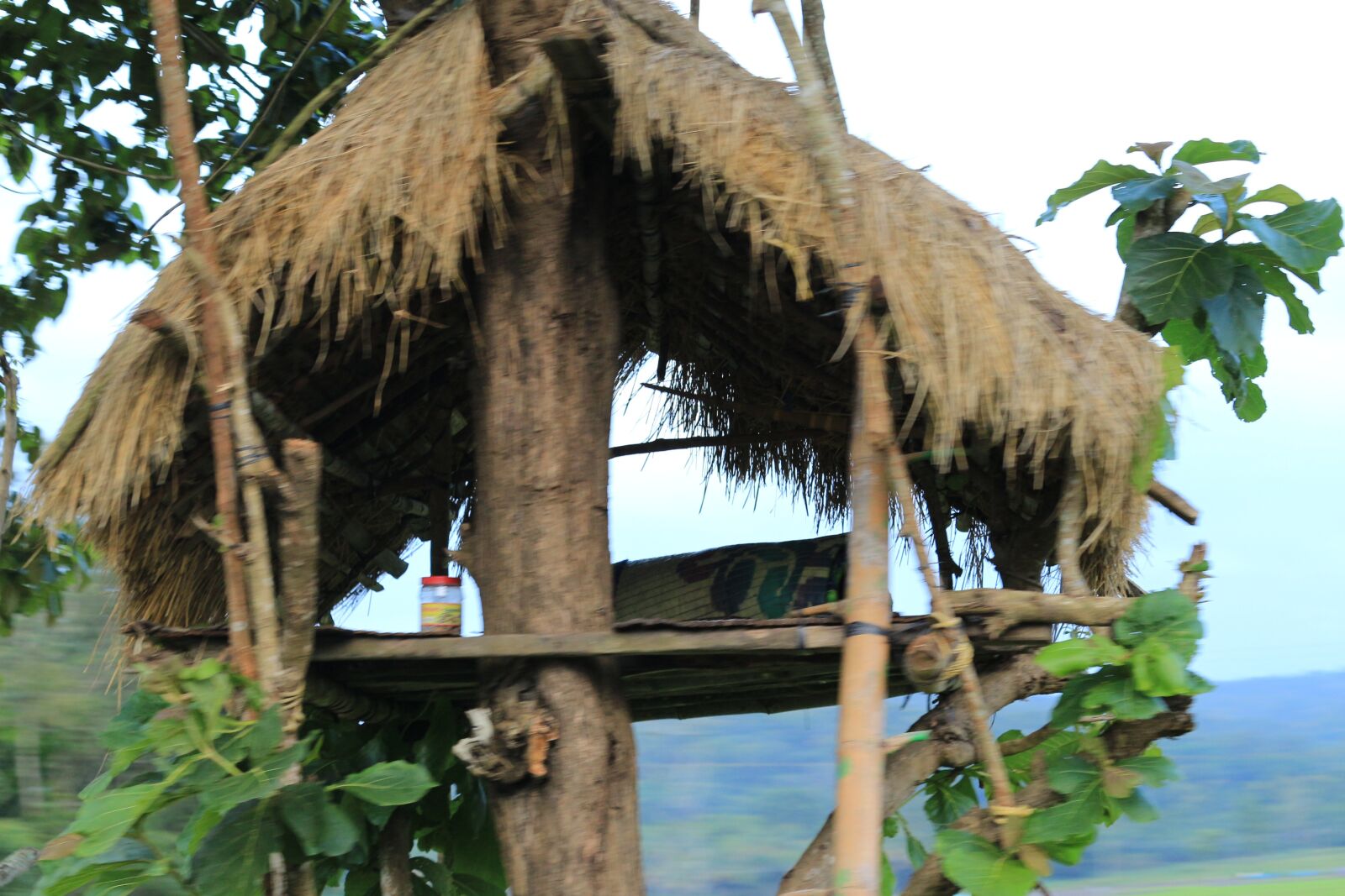 Canon EOS 700D (EOS Rebel T5i / EOS Kiss X7i) sample photo. Tree house, tourism, adven photography