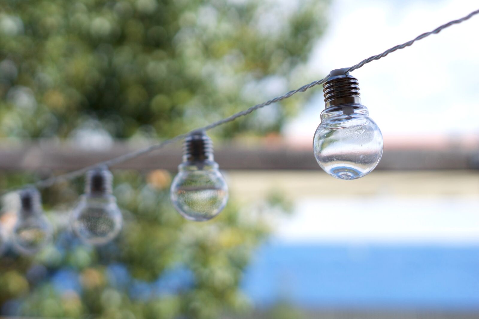 Sony FE 50mm F1.8 sample photo. Light bulbs, hanging, lights photography
