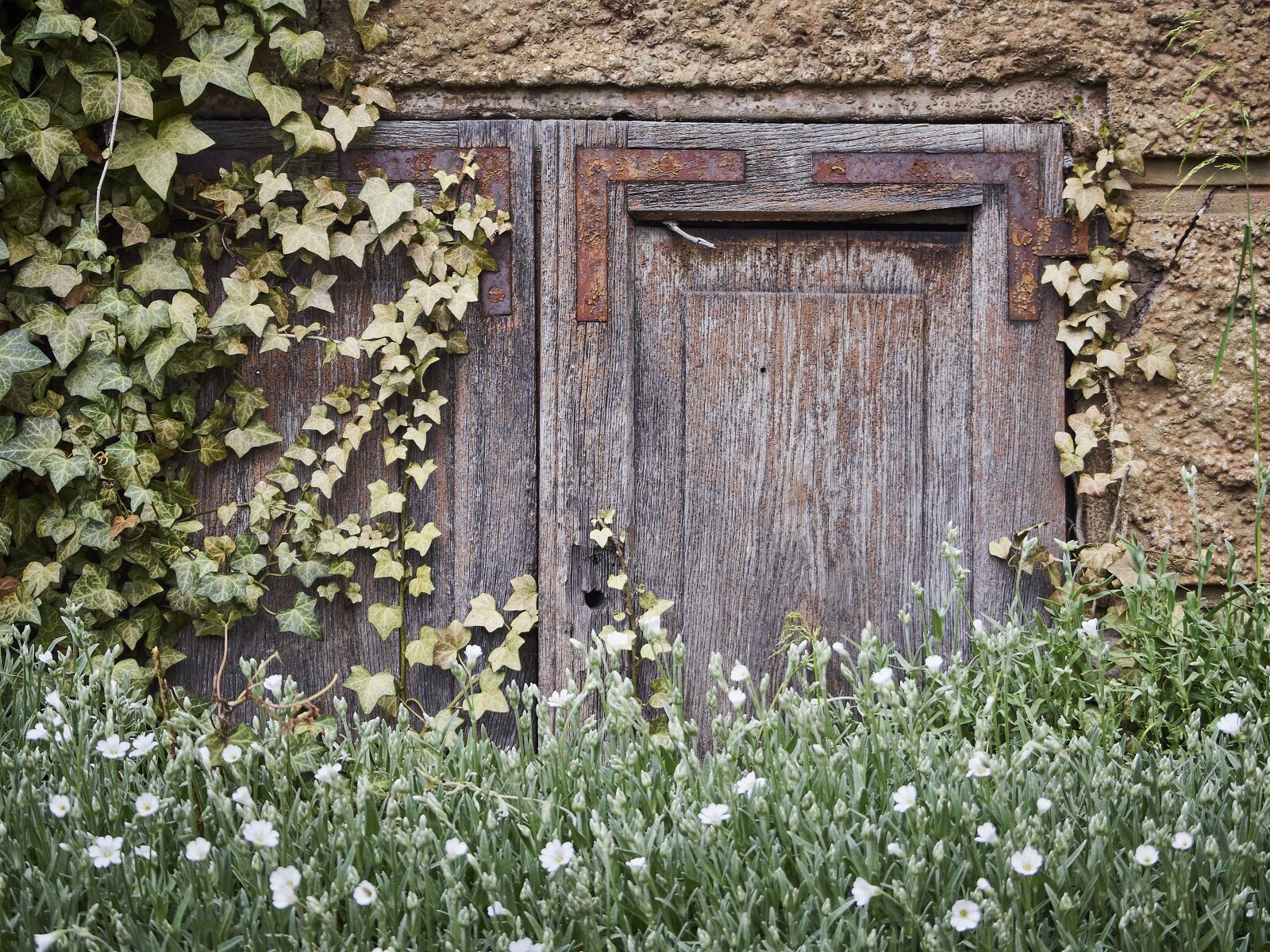 Olympus OM-D E-M10 sample photo. Goal, overgrown, hidden photography