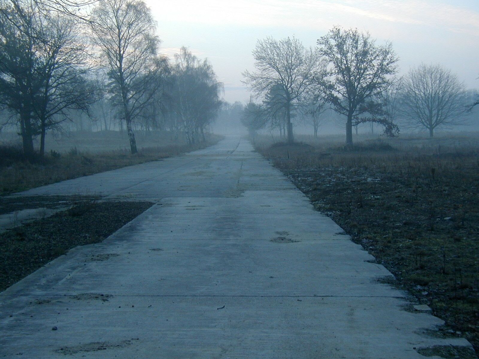 Olympus C990Z,D490Z sample photo. Away, morning, nature photography