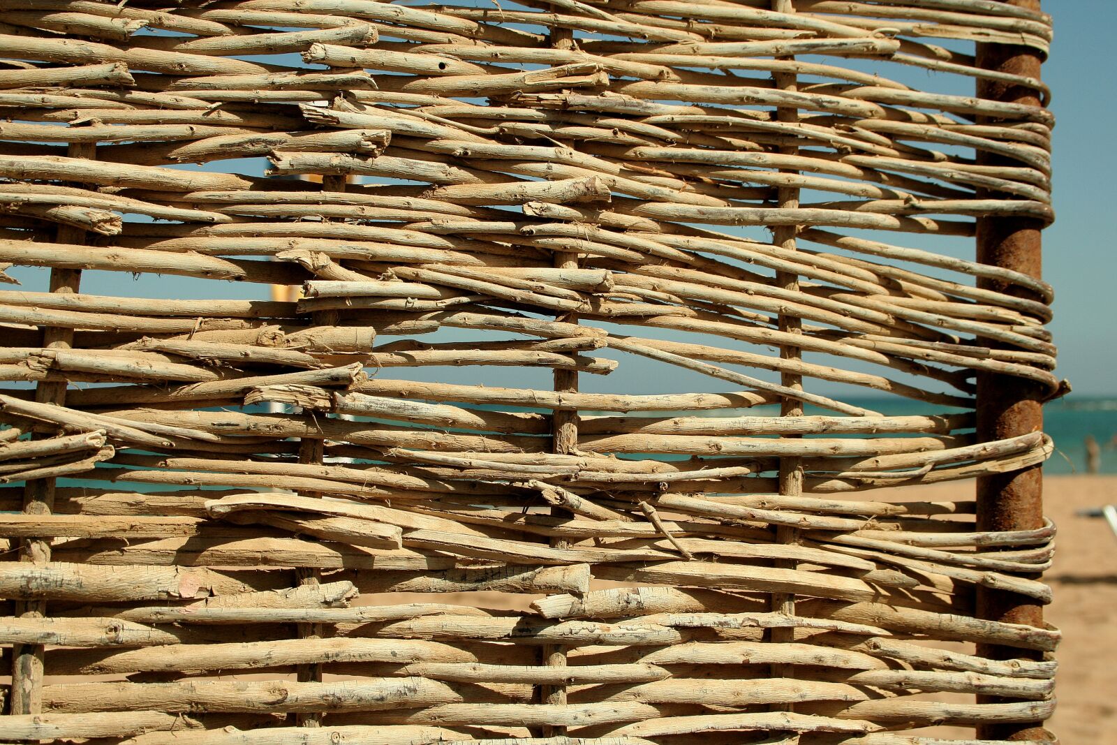 Canon EOS 350D (EOS Digital Rebel XT / EOS Kiss Digital N) sample photo. Background, pattern, texture photography