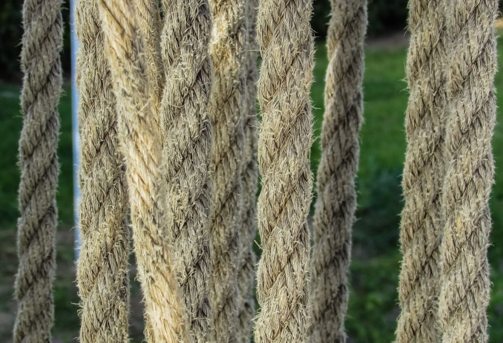 Canon PowerShot SX400 IS sample photo. Ropes, hung, woven photography