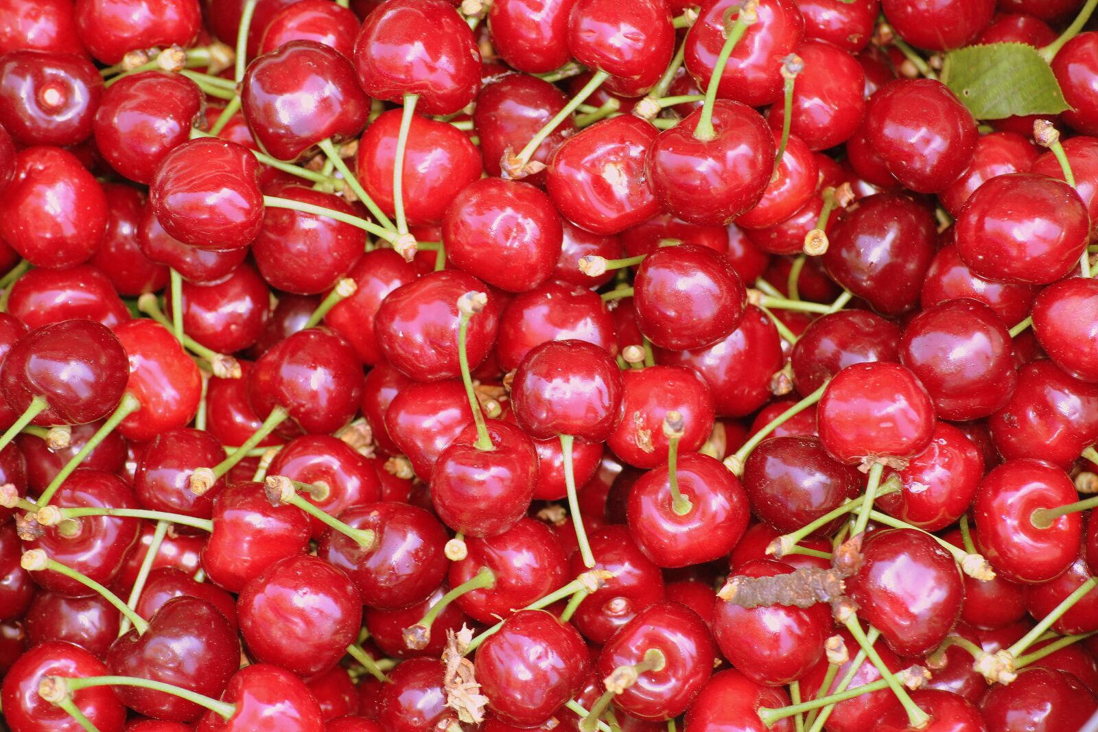 Canon EOS 1200D (EOS Rebel T5 / EOS Kiss X70 / EOS Hi) sample photo. Cherries, fruit, mature photography