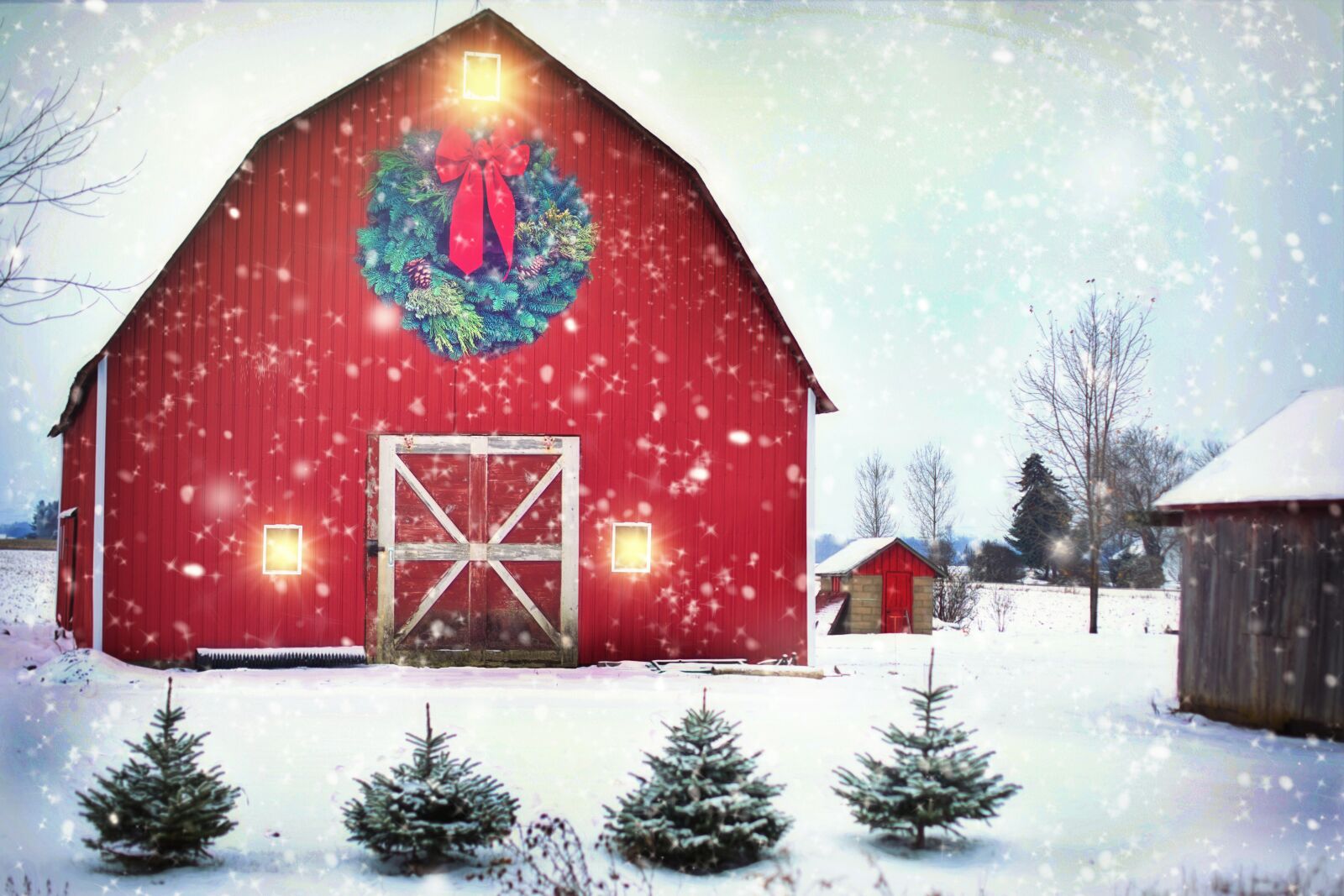Canon EF 50mm F1.4 USM sample photo. Barn, red, christmas photography