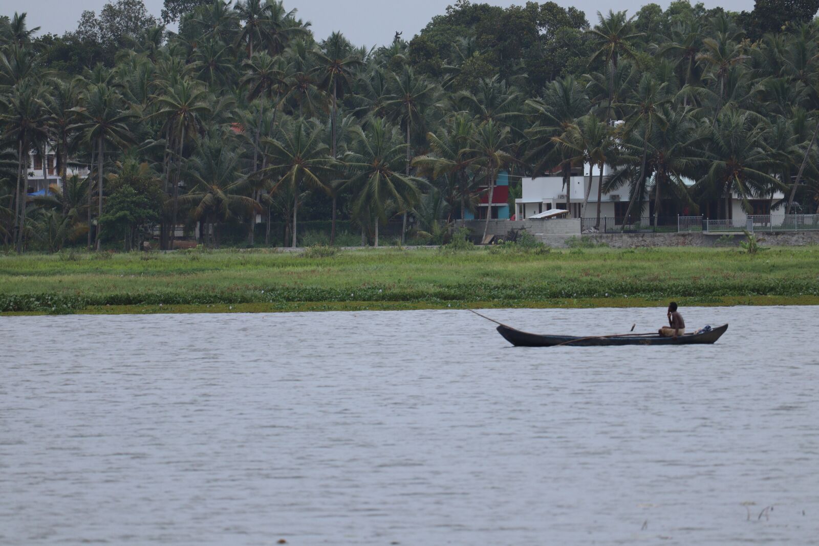 Canon EF-S 55-250mm F4-5.6 IS STM sample photo. Kerala, nature, landscape photography
