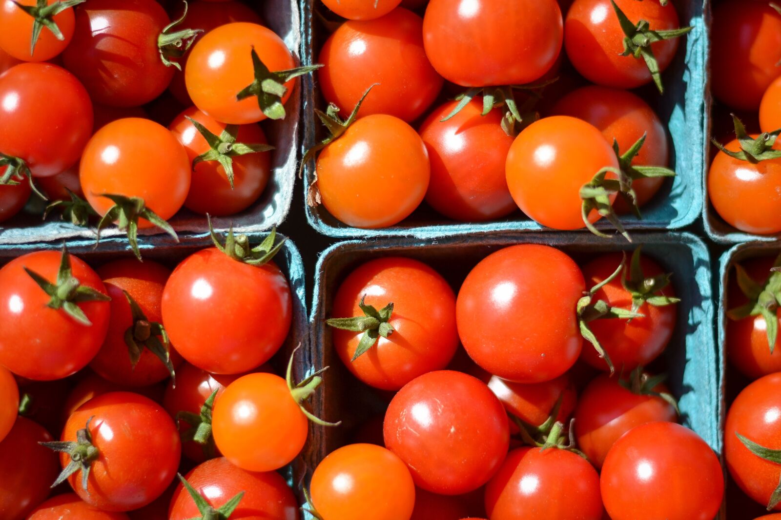 Nikon D3100 sample photo. Tomato, cherry tomato, pints photography