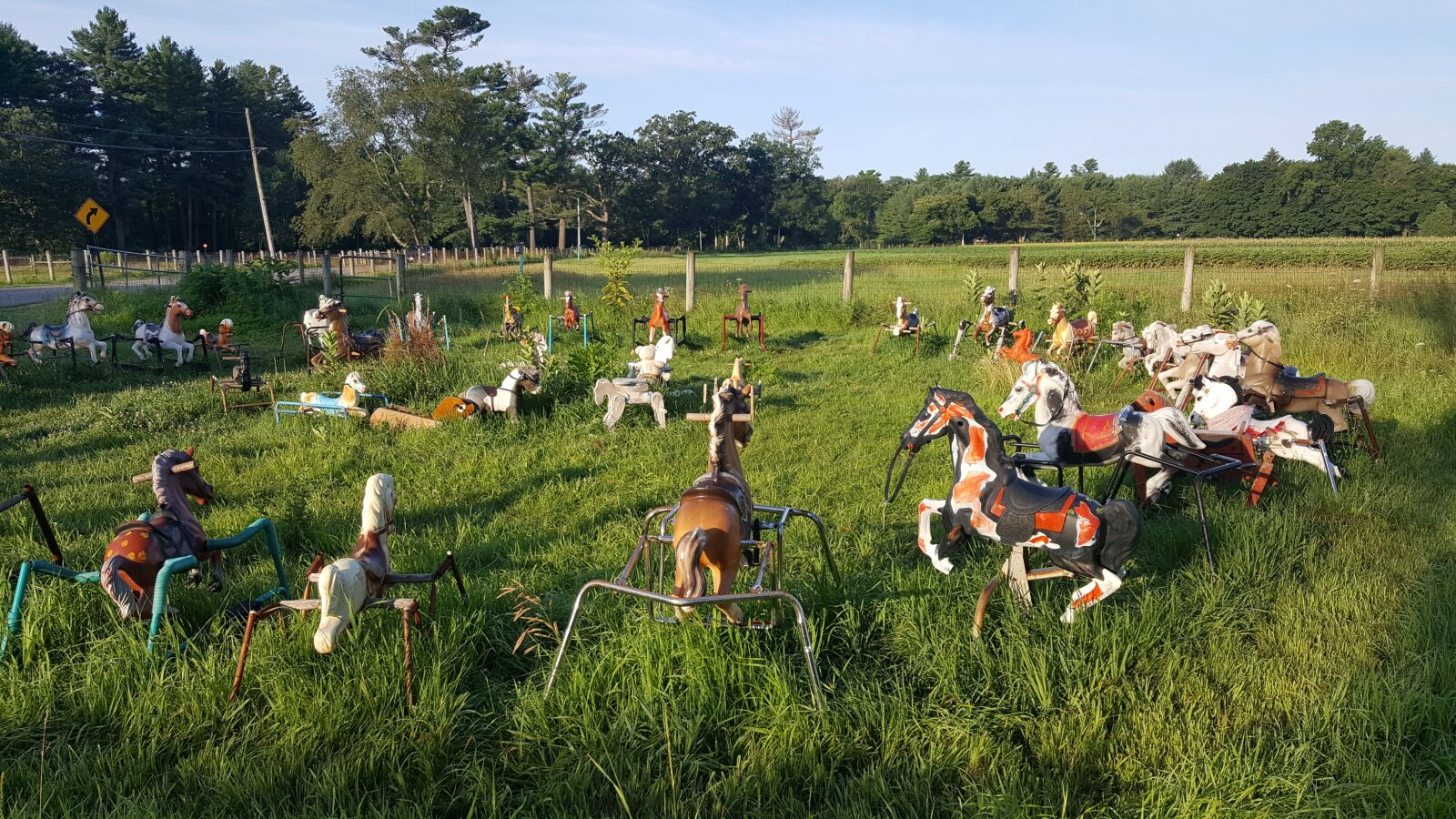 Samsung Galaxy S6 sample photo. Pony henge, whimsical, hobby photography