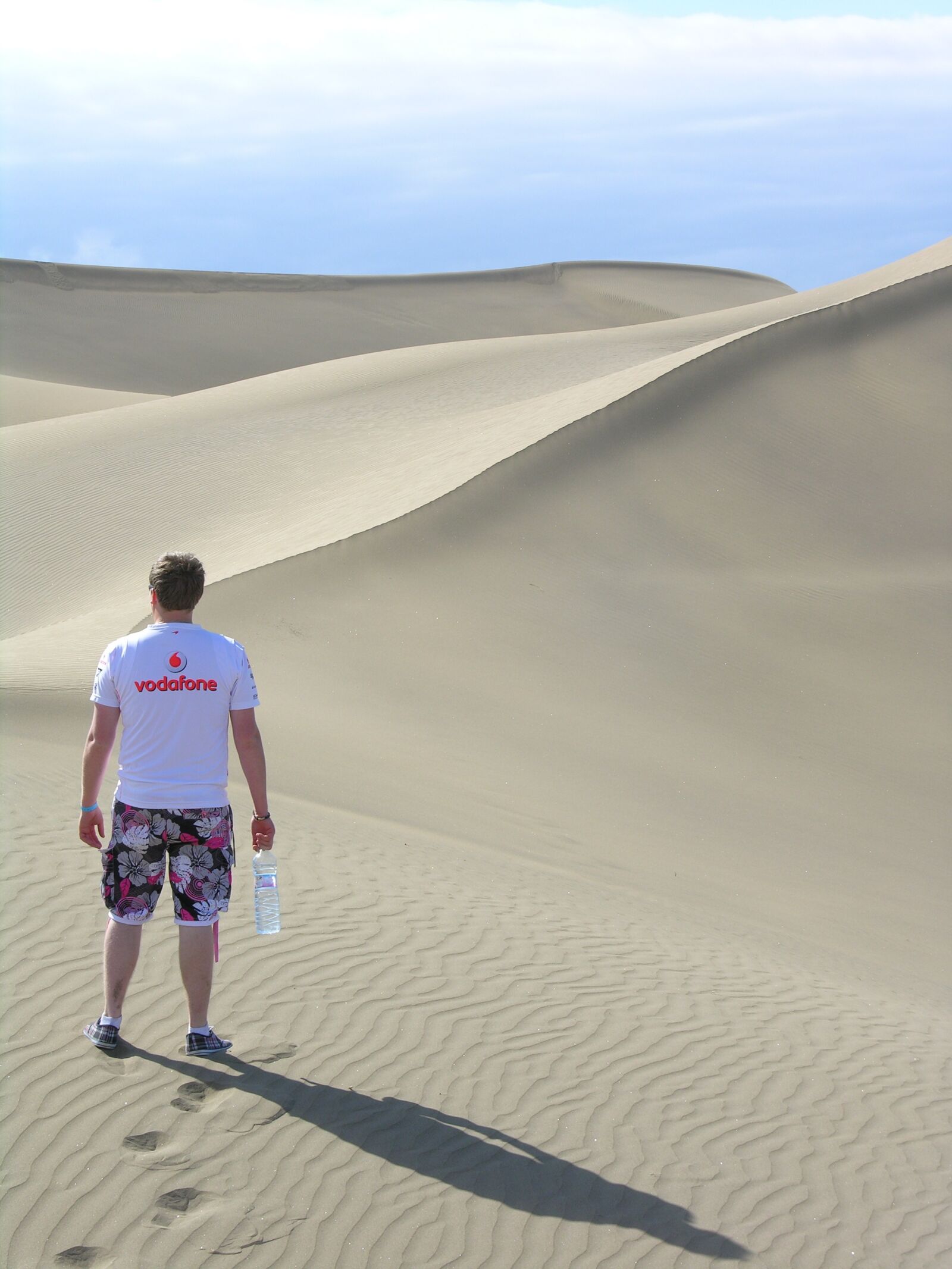 Nikon E8800 sample photo. Desert, sand, dune photography