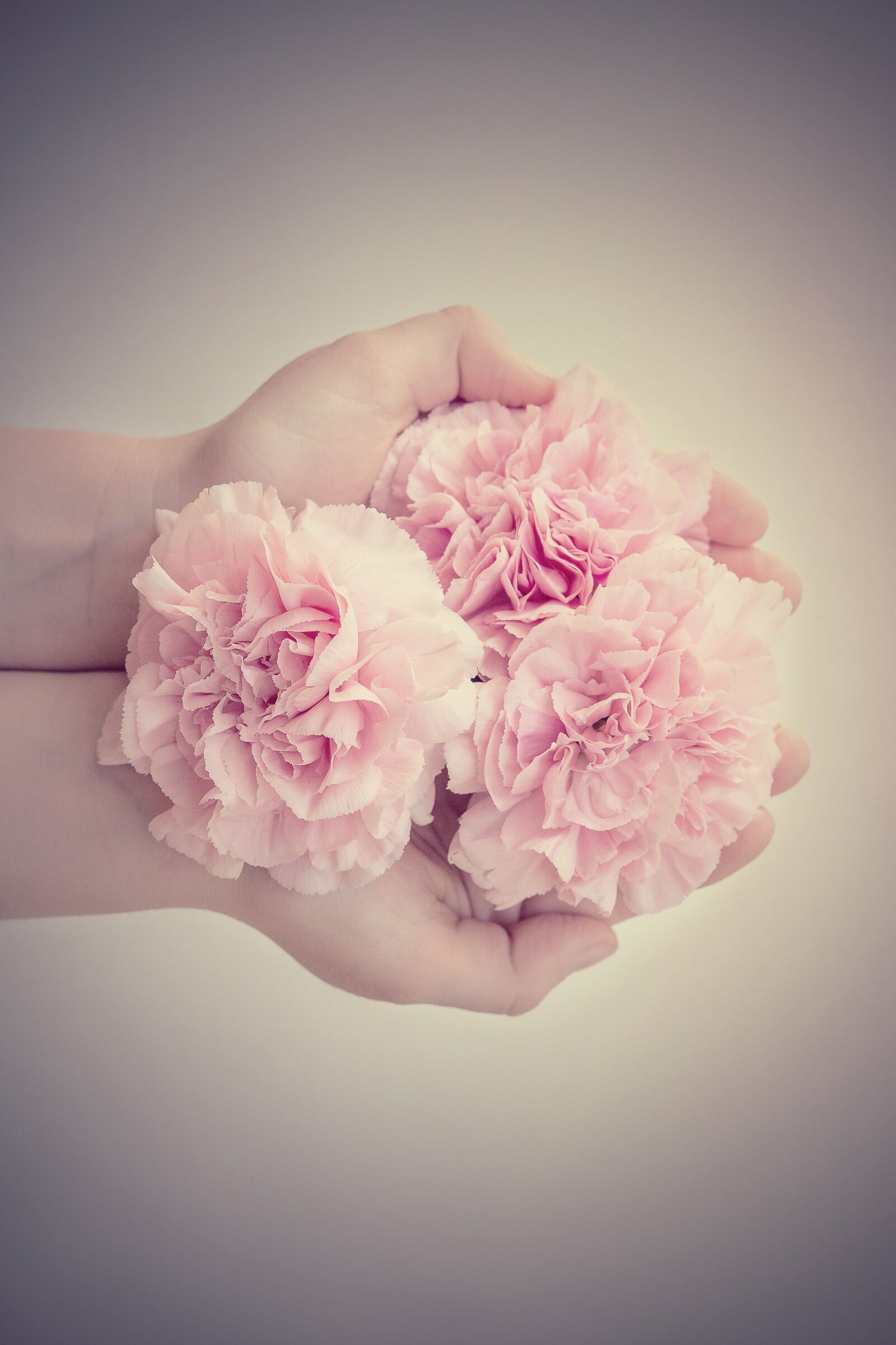 Nikon D7100 sample photo. Flowers, cloves, pink photography