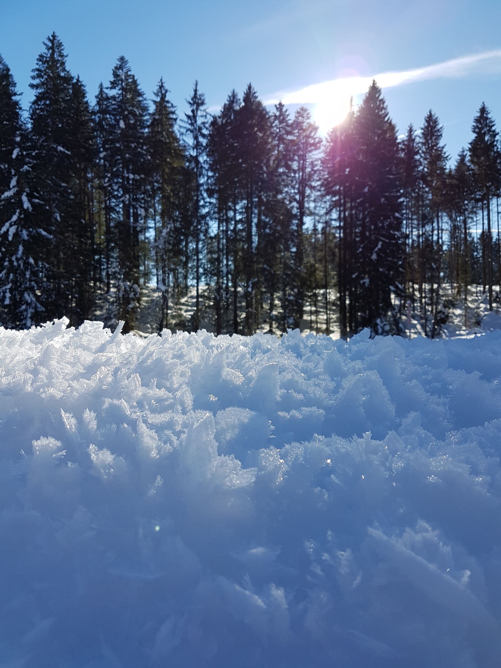 Samsung Galaxy S7 sample photo. Snow, frost, sun photography