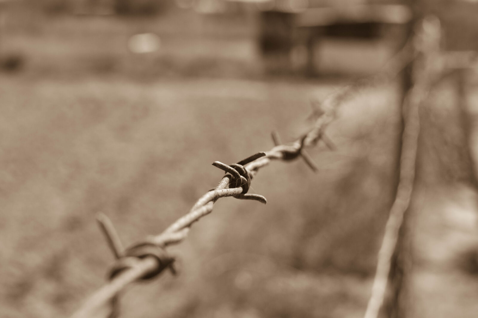 Sony Alpha DSLR-A390 sample photo. Close, up, of, wire photography
