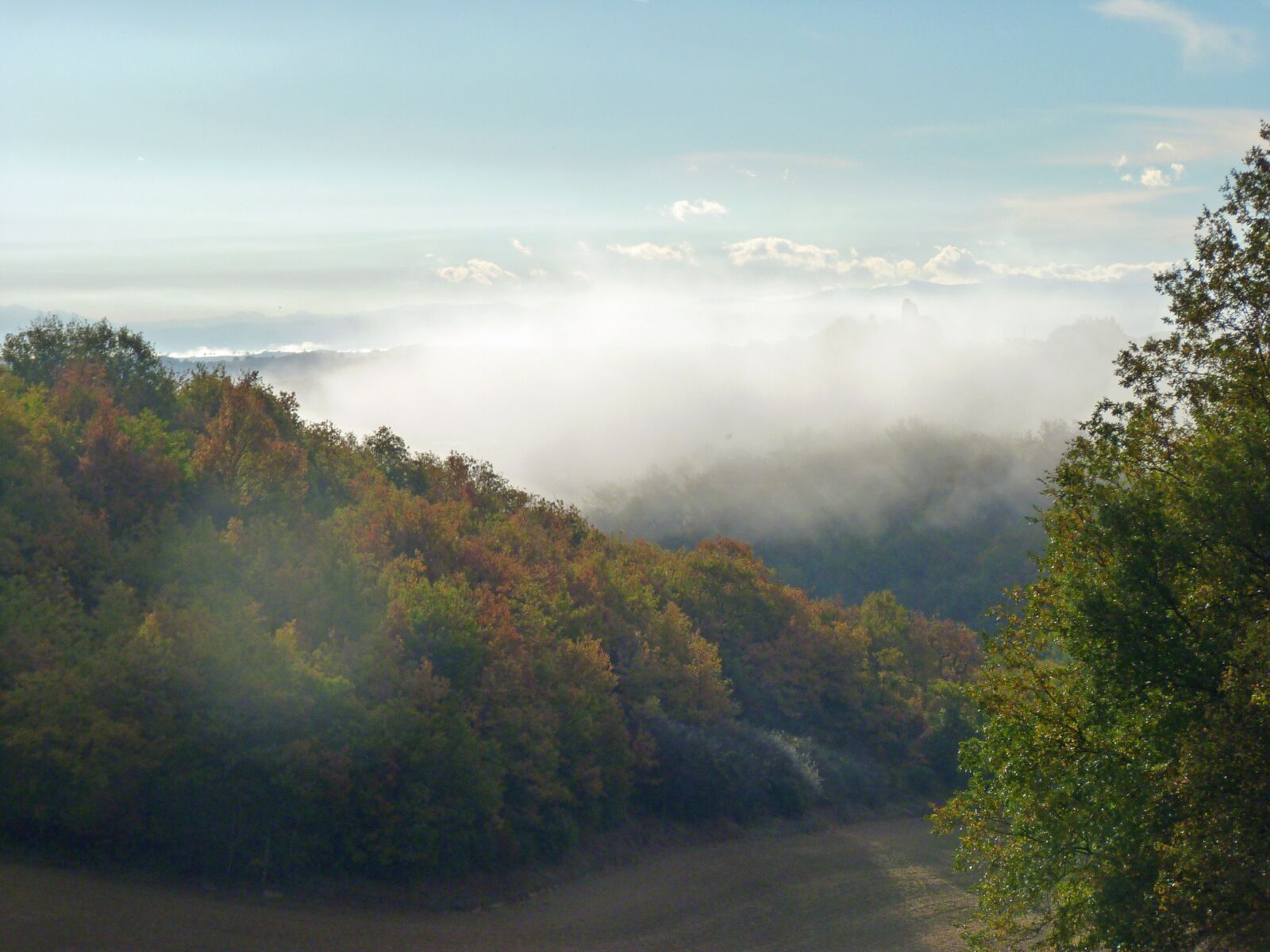 Panasonic Lumix DMC-FZ35 (Lumix DMC-FZ38) sample photo. Morning mist, fall, morning photography