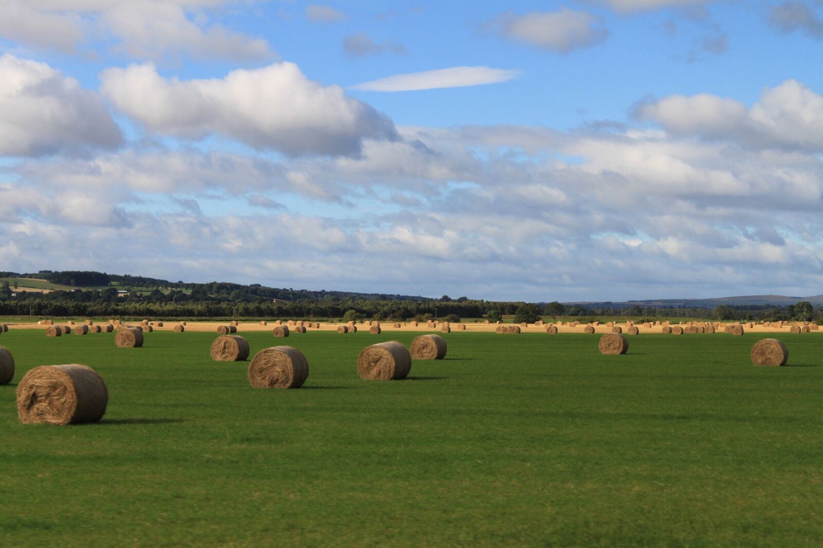 Canon EOS 500D (EOS Rebel T1i / EOS Kiss X3) sample photo. Hay, field, agriculture photography