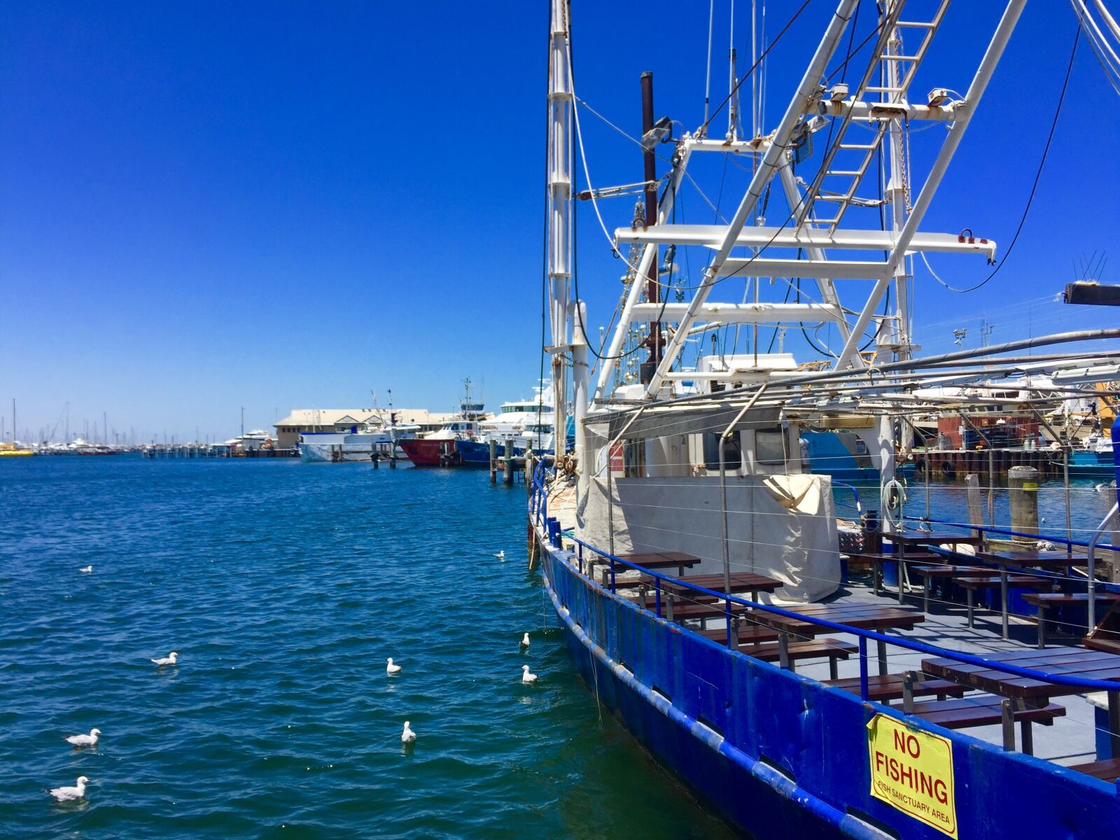 Apple iPhone 6 sample photo. Fremantle port, perth, australia photography