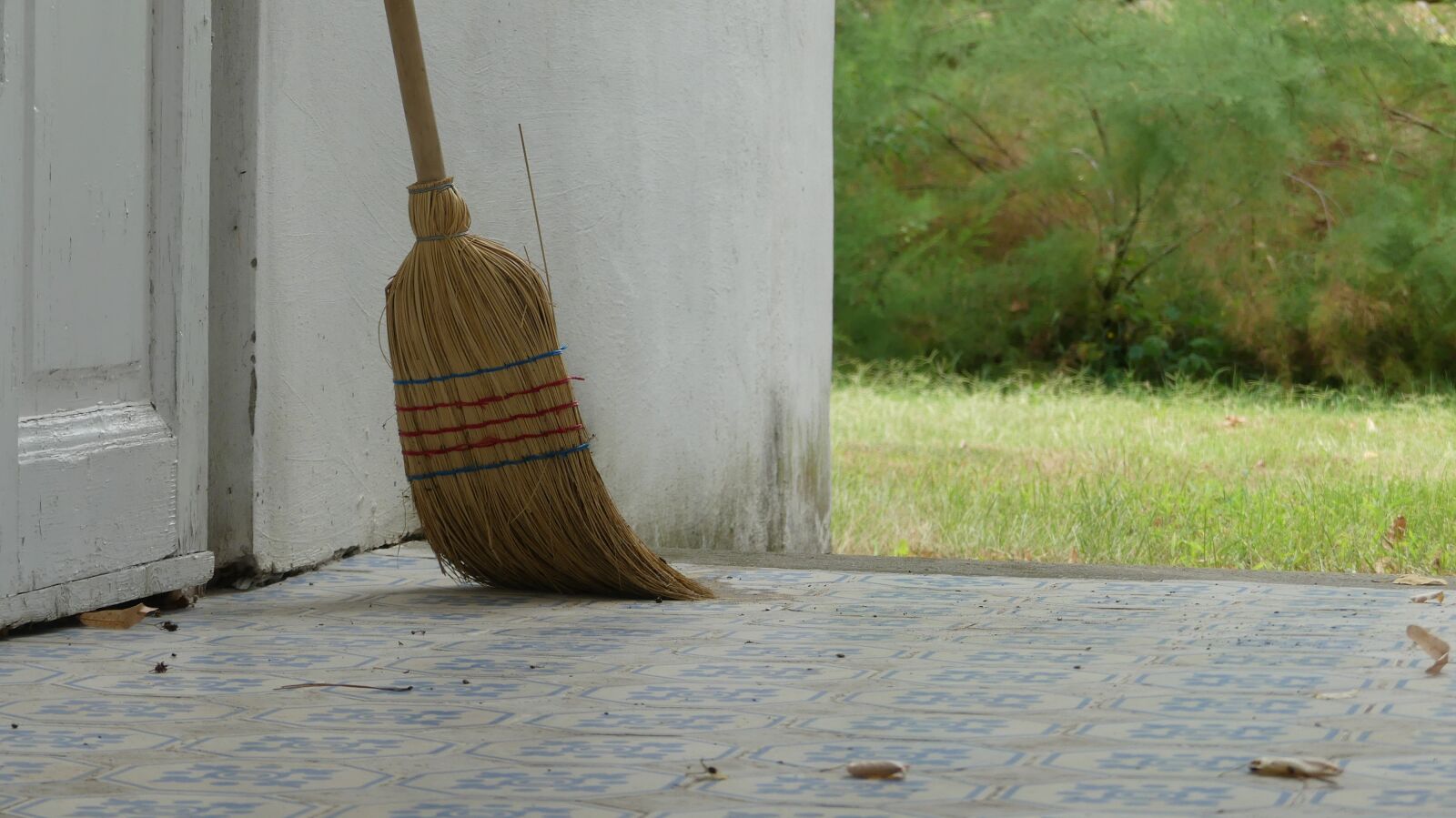 Panasonic Lumix DMC-FZ300 sample photo. Broom, door, clear photography