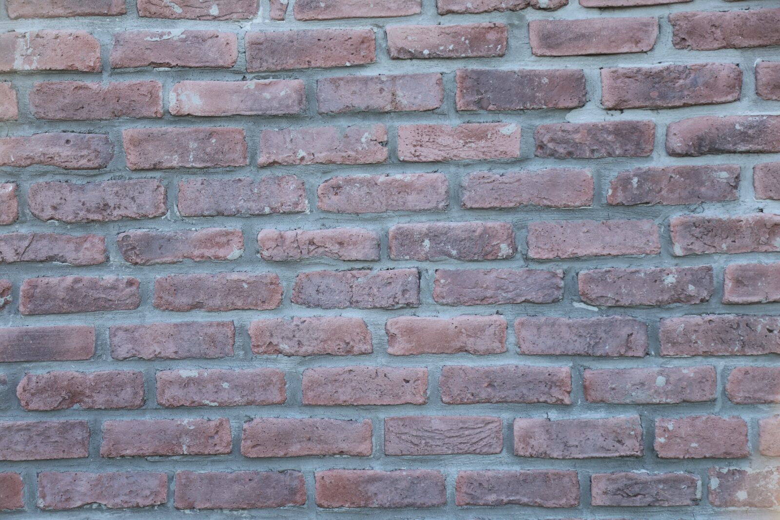 Canon EOS 5D Mark IV sample photo. Brick, wall, pattern photography
