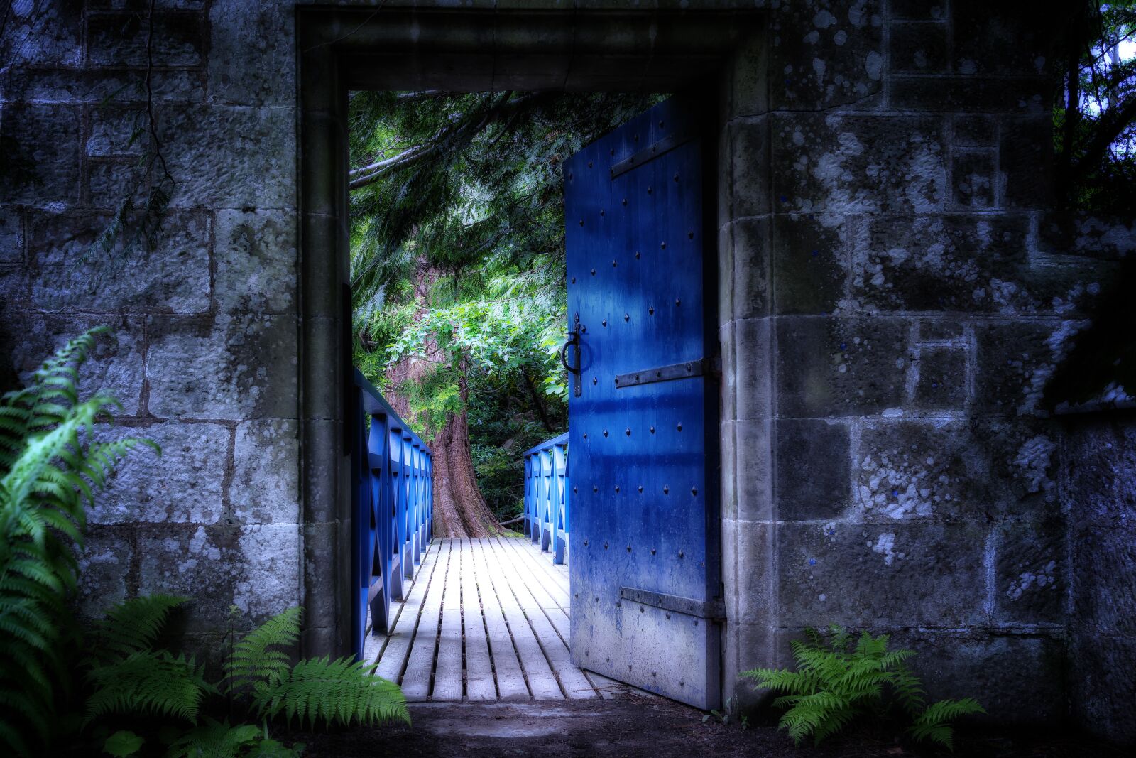 Nikon D3300 sample photo. Goal, door, input photography