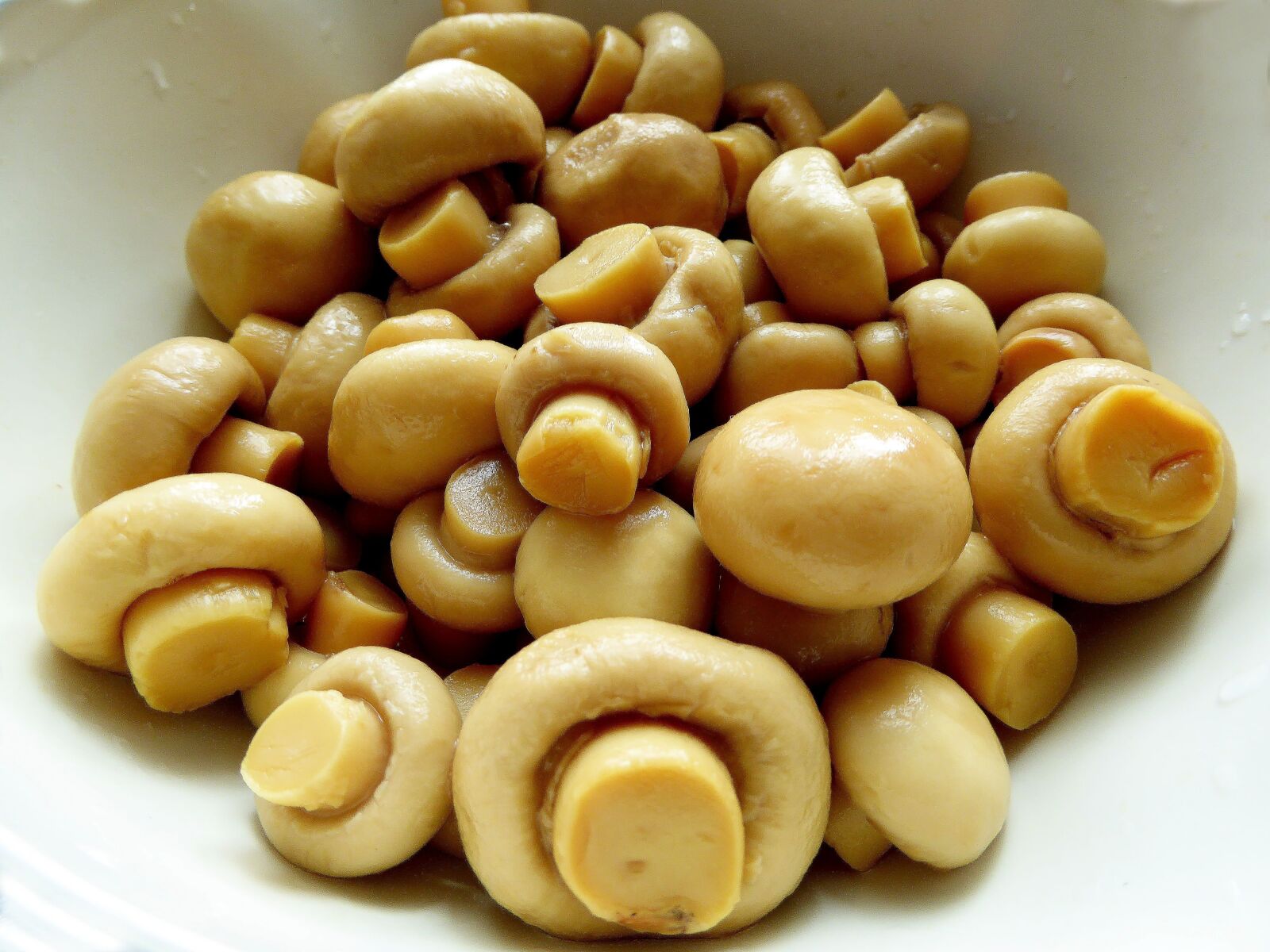 Panasonic DMC-TZ61 sample photo. Container, mushrooms, nutrition photography