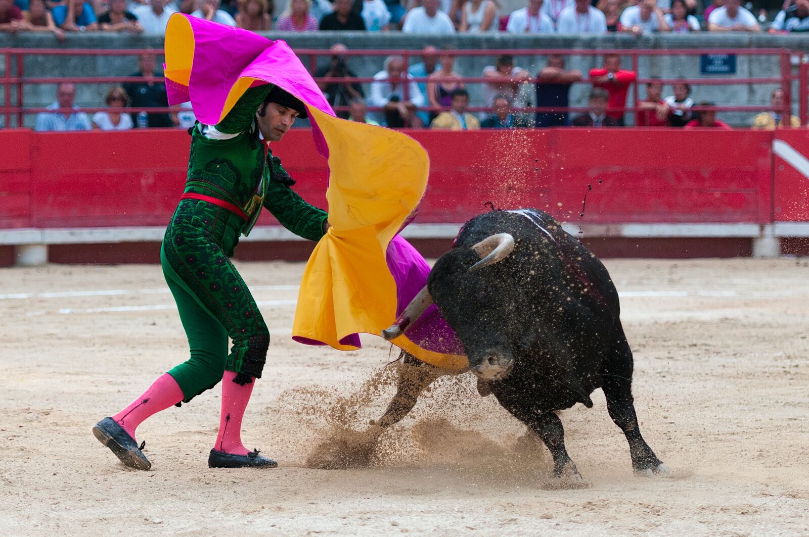 Nikon D300S sample photo. Bullfight, toreador, arenas photography