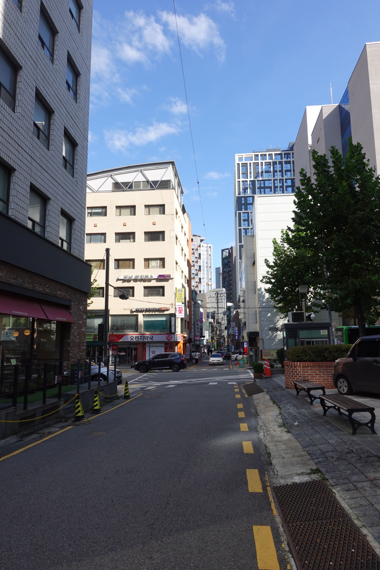 Sony ZV-1 sample photo