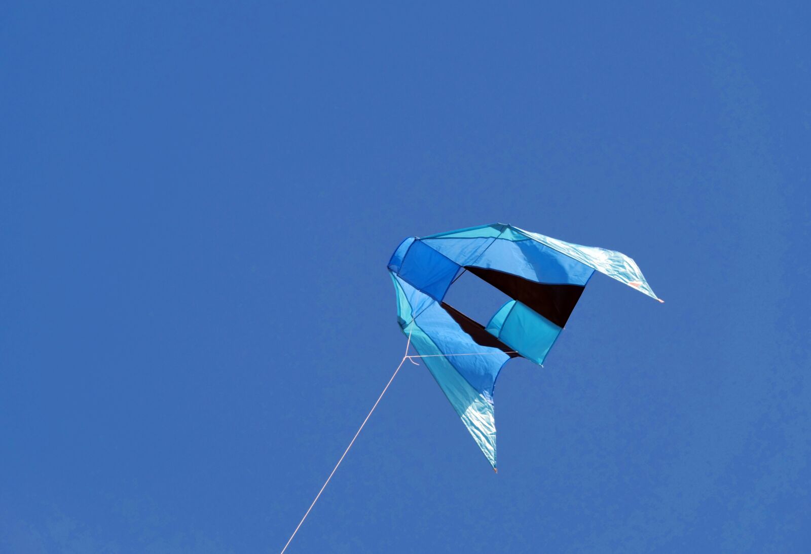 Panasonic Lumix DC-G9 sample photo. Dragons, wind bird, kite photography