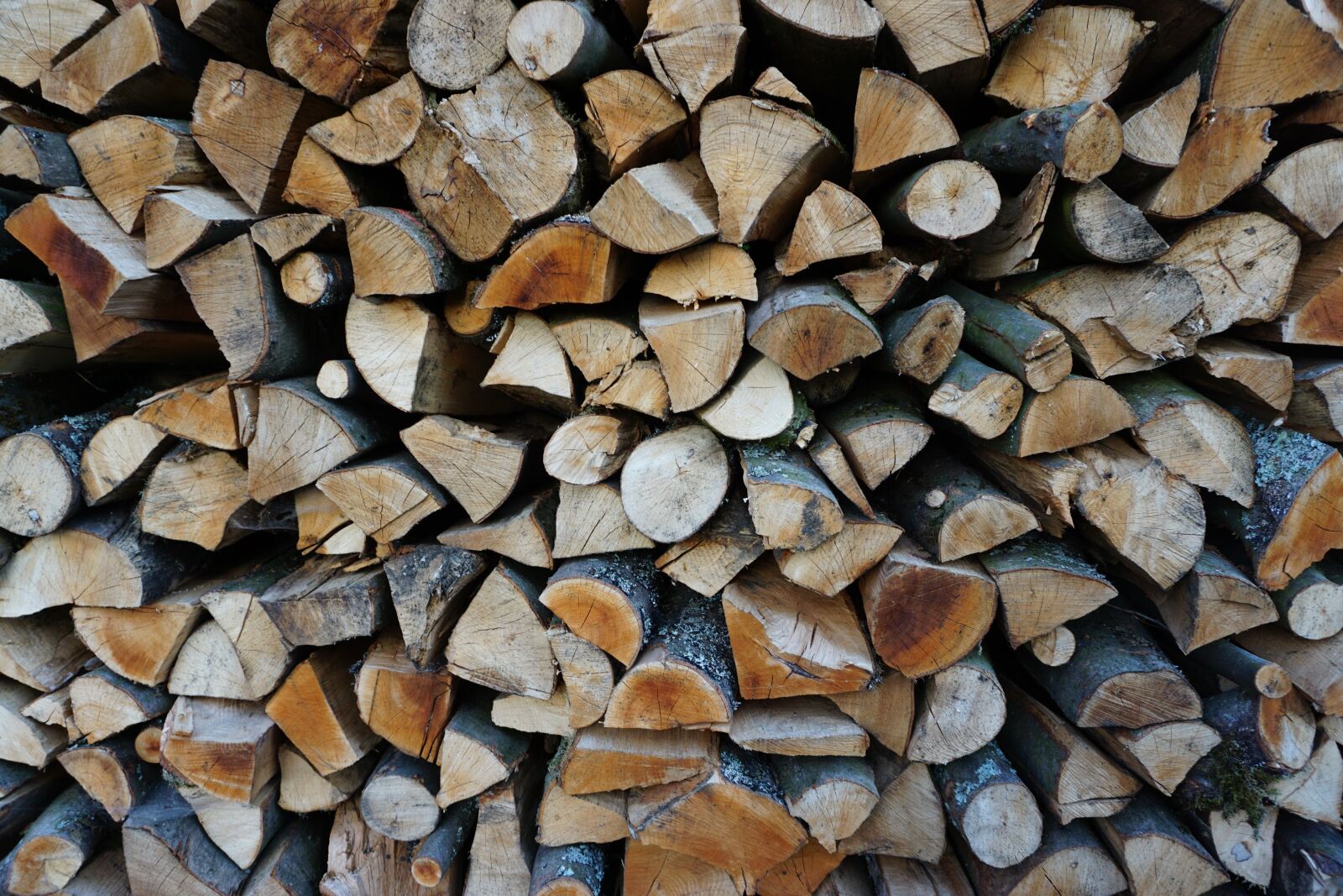 Sony a6000 sample photo. Wood, beech firewood, holzstapel photography