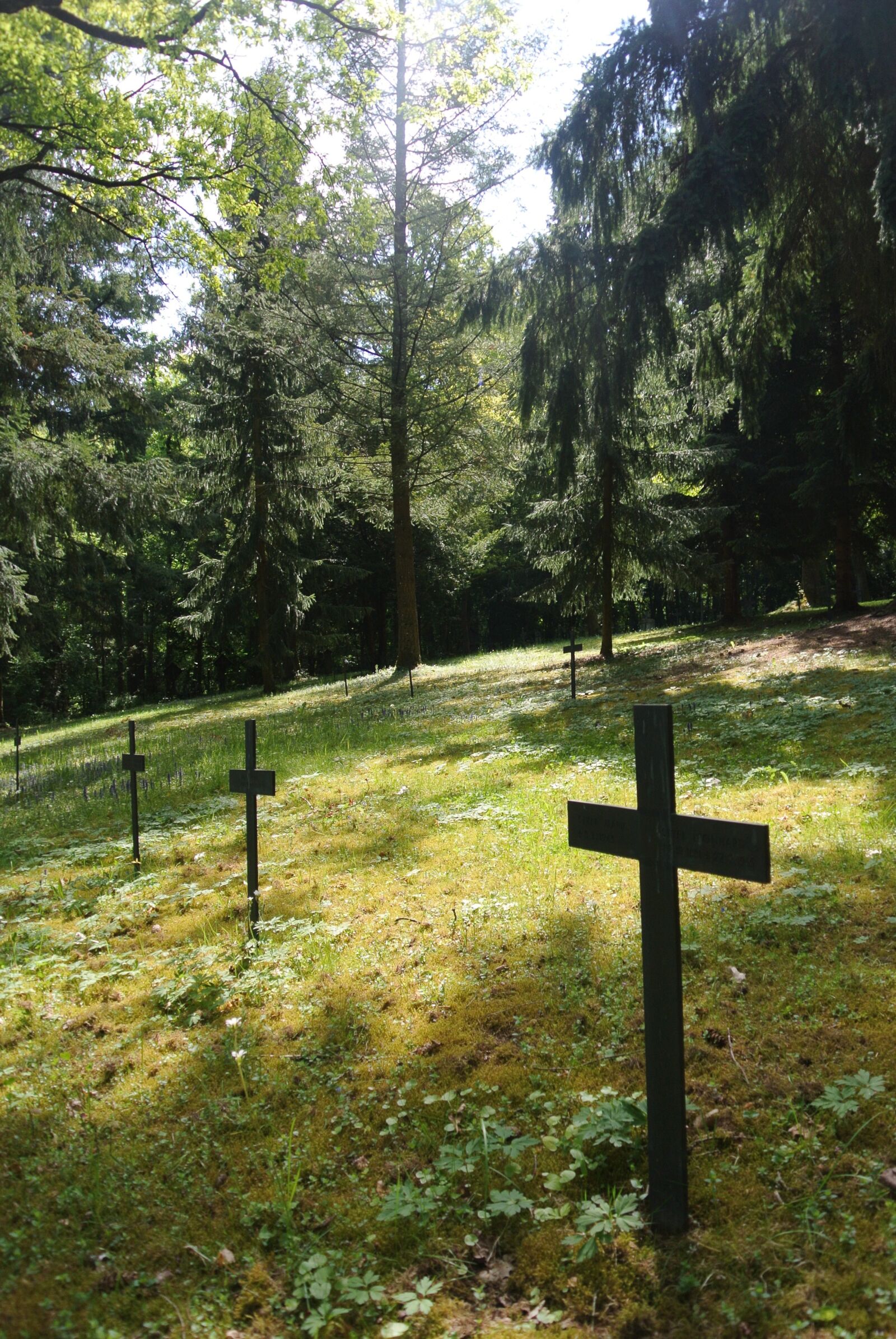 Nikon 1 J1 sample photo. Cross, cemetery, mourning photography