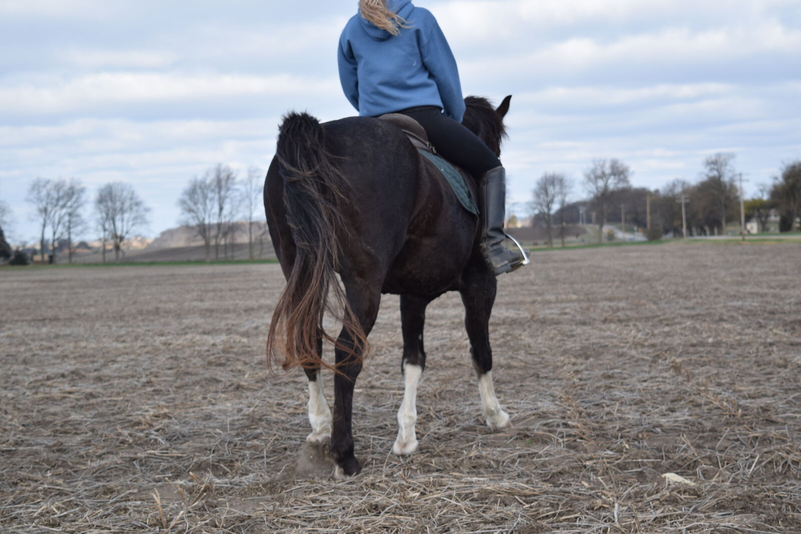 Nikon D3300 sample photo