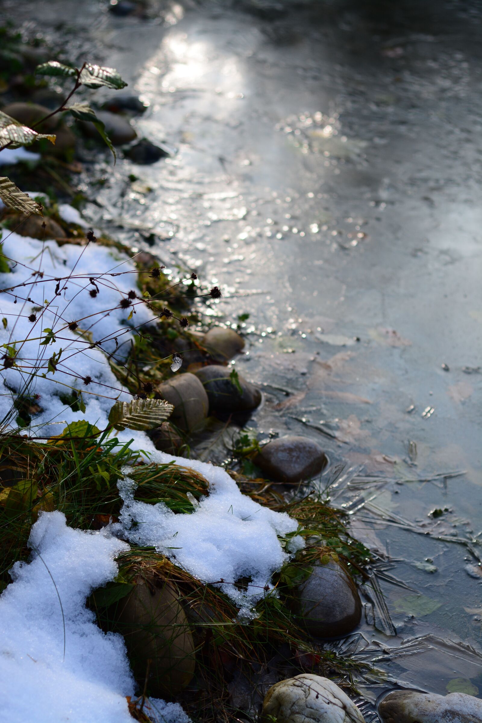 Nikon D7100 sample photo. Frost, pond, po photography