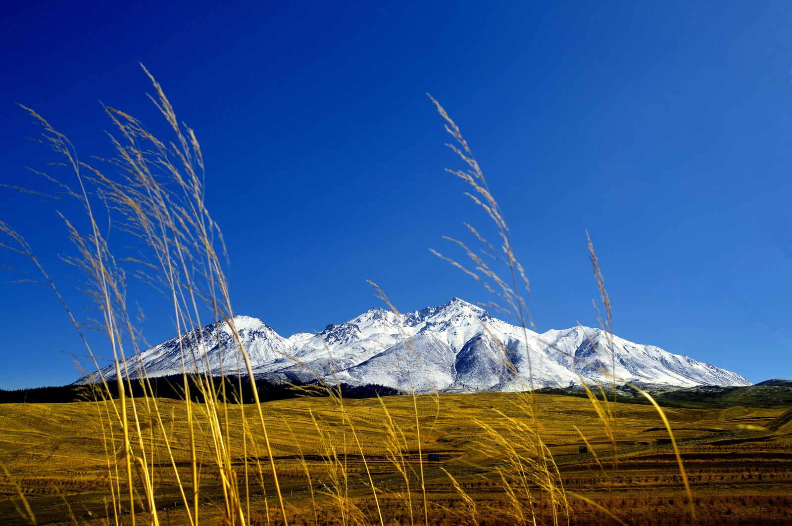 Nikon D3200 sample photo. Sabina, snow mountain, bovine photography
