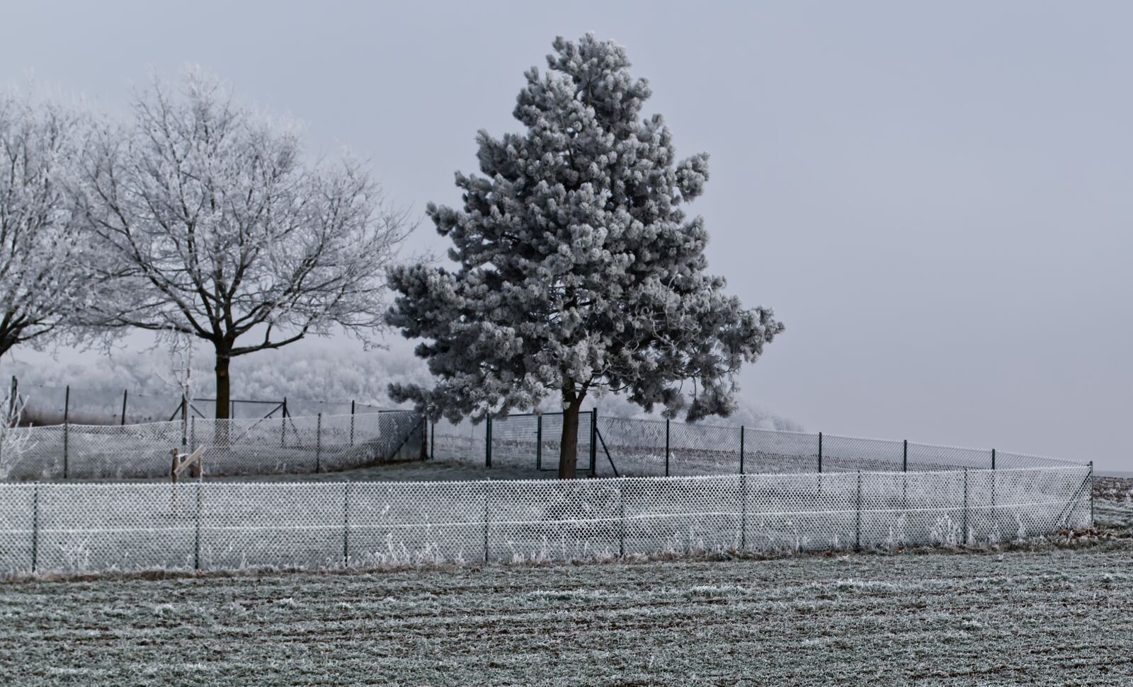 Nikon D5500 sample photo. Winter, ice, snow photography
