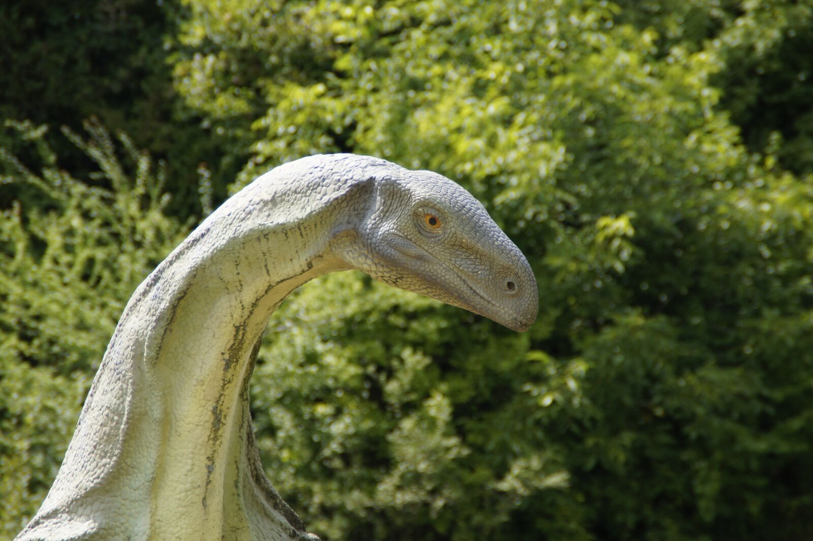 Sony SLT-A58 sample photo. Dino, dinosaur, prehistoric times photography
