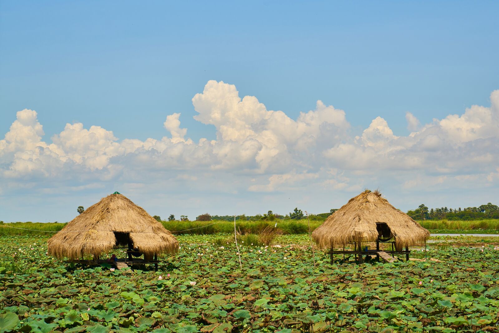 Sony a7R II sample photo. Village, houses, rural photography