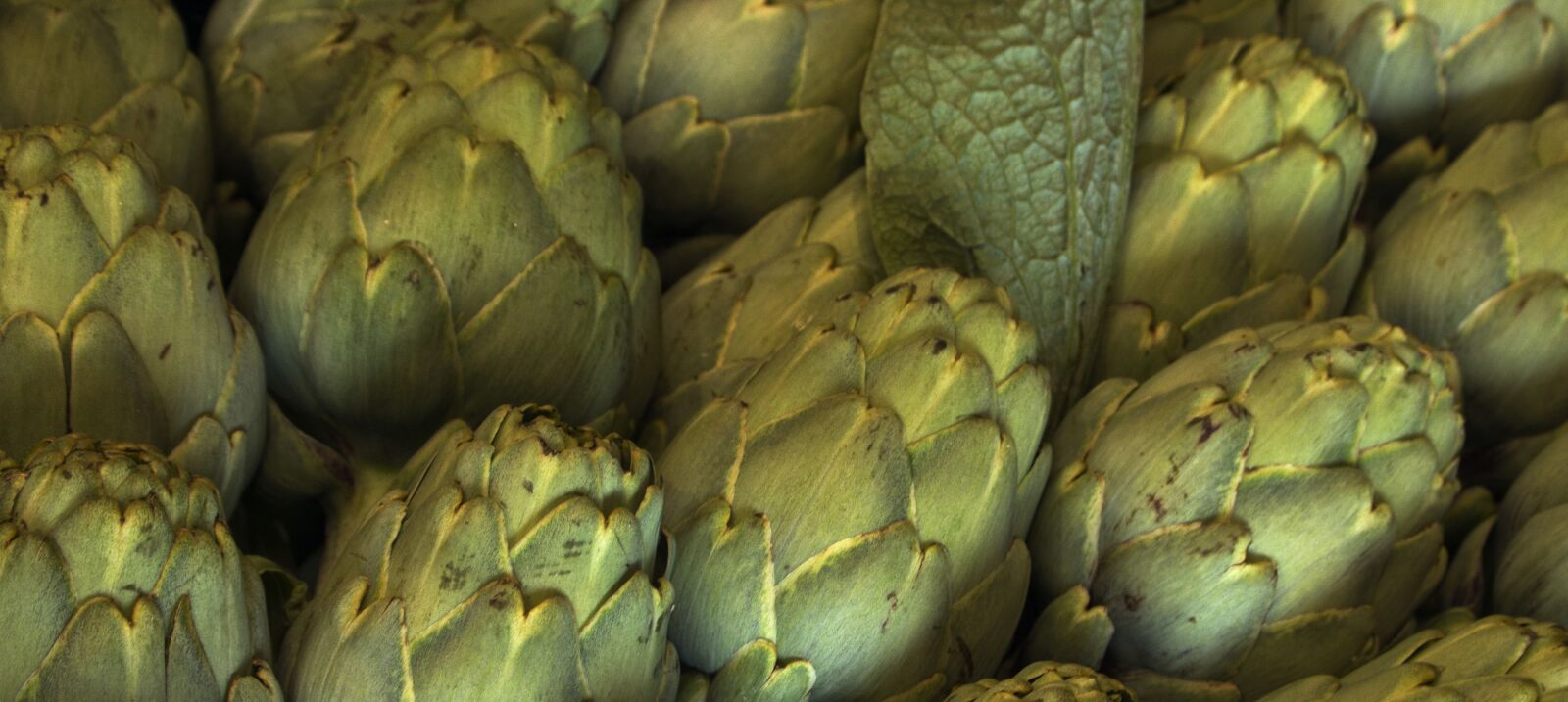 Canon EOS 600D (Rebel EOS T3i / EOS Kiss X5) sample photo. Artichoke, vegetables, food photography