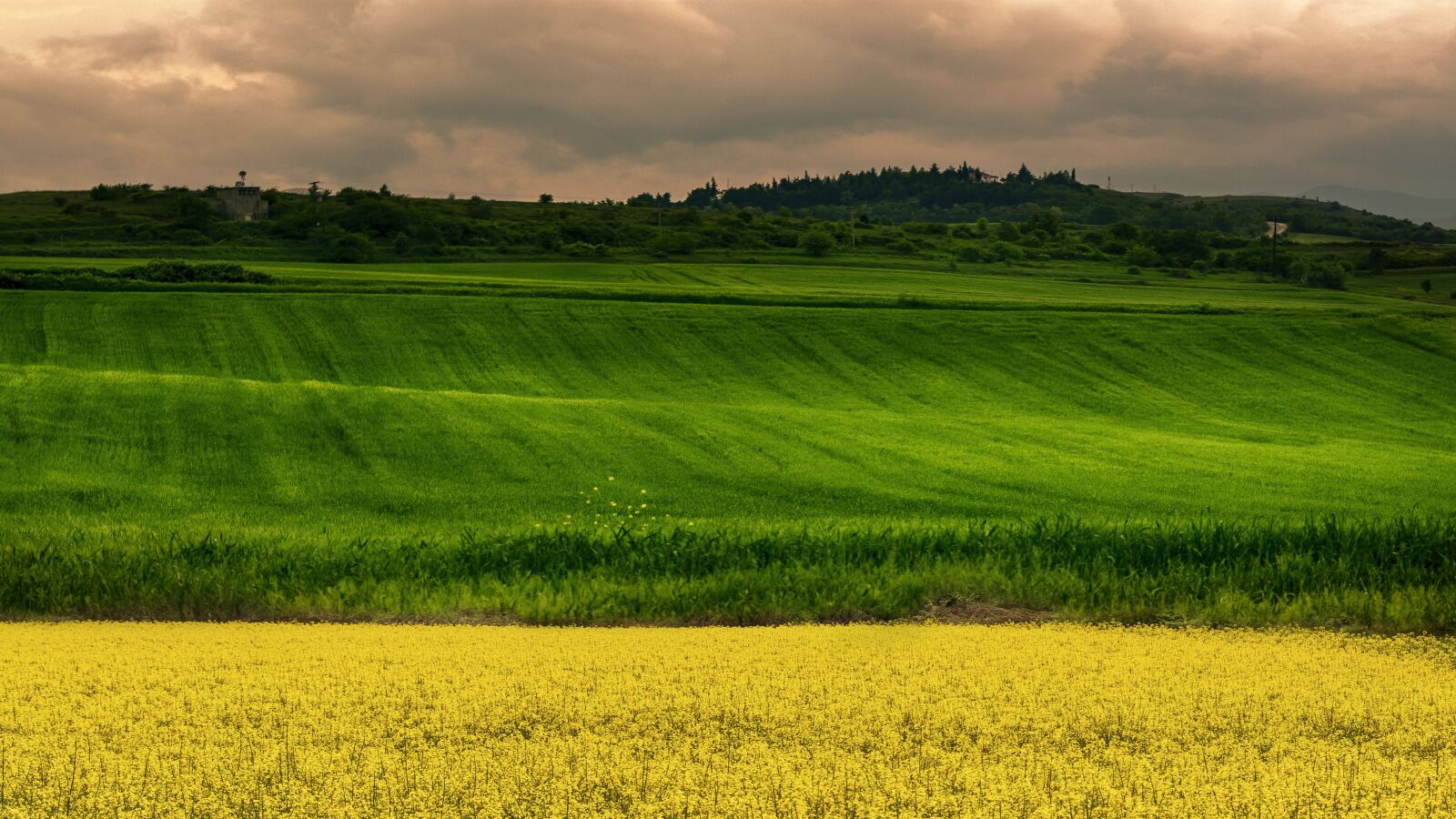 Tamron SP 24-70mm F2.8 Di VC USD sample photo. Fields, spring, colors photography