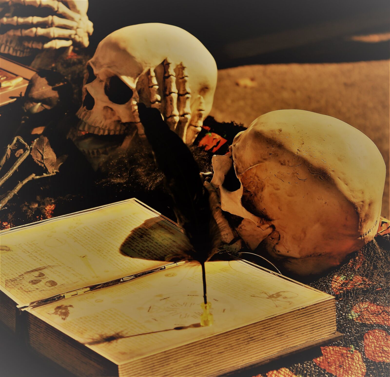 Canon EOS 1100D (EOS Rebel T3 / EOS Kiss X50) sample photo. Skulls, halloween, magic photography