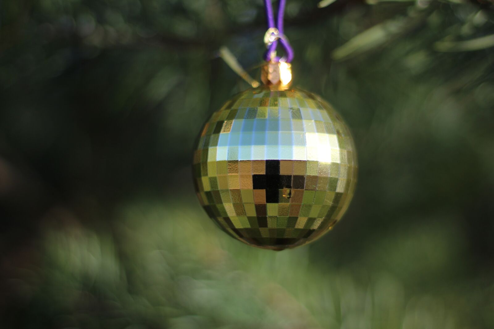 Canon EOS 1200D (EOS Rebel T5 / EOS Kiss X70 / EOS Hi) + Canon EF 50mm F1.8 STM sample photo. Bauble, christmas, decoration photography