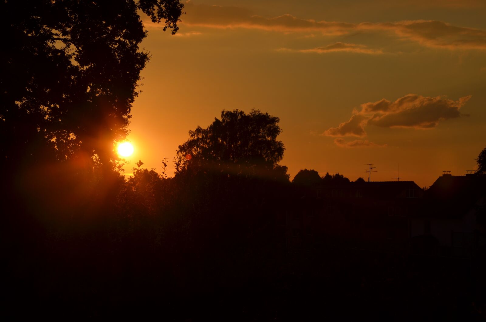 Nikon D5100 sample photo. Sunset, sky, evening photography