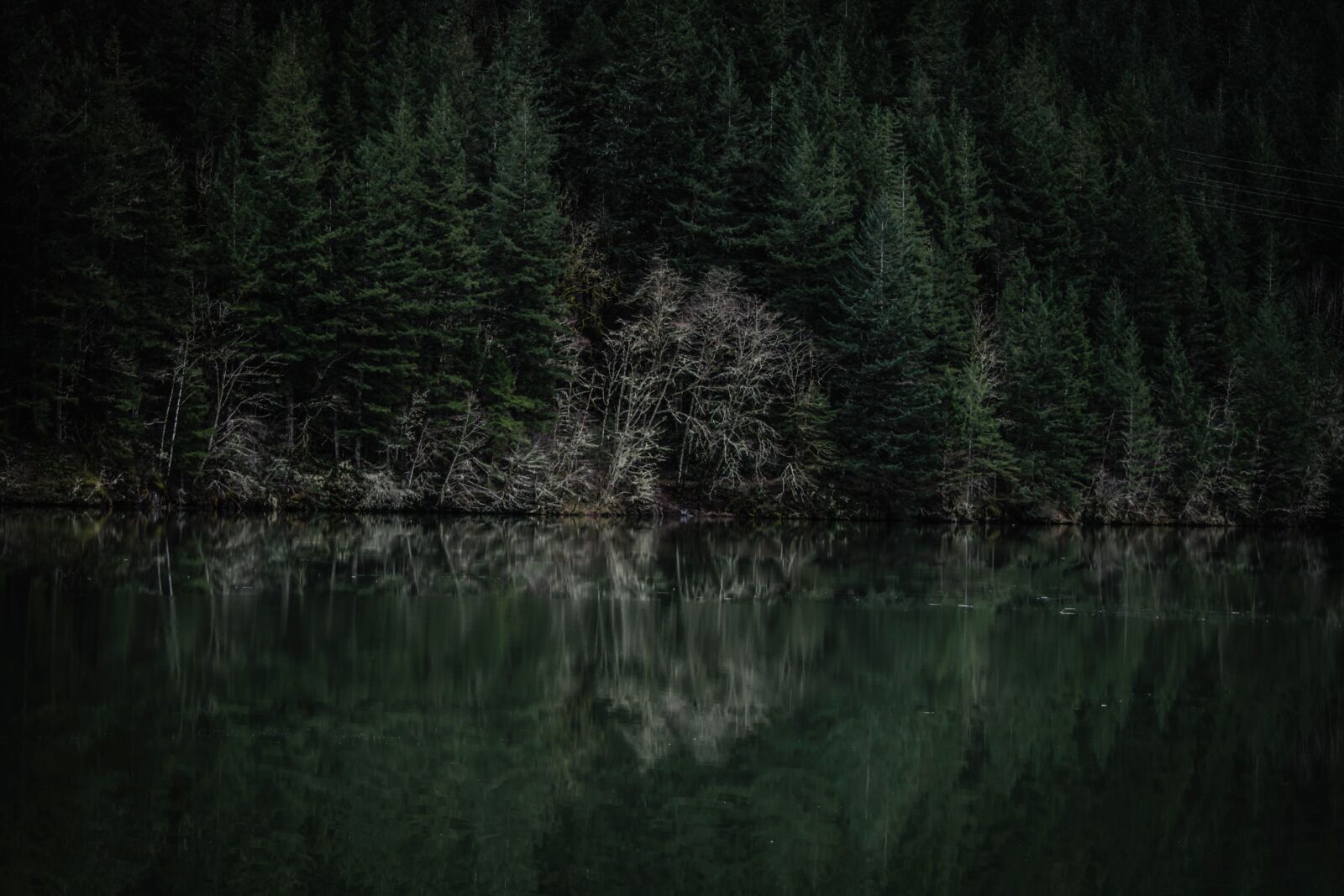 Nikon D5200 sample photo. Forest, coast, lake, water photography