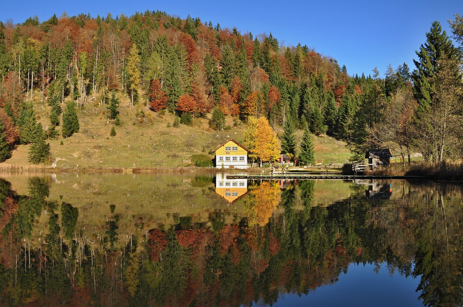 Nikon D90 sample photo. Autumn, autumn mood, nature photography