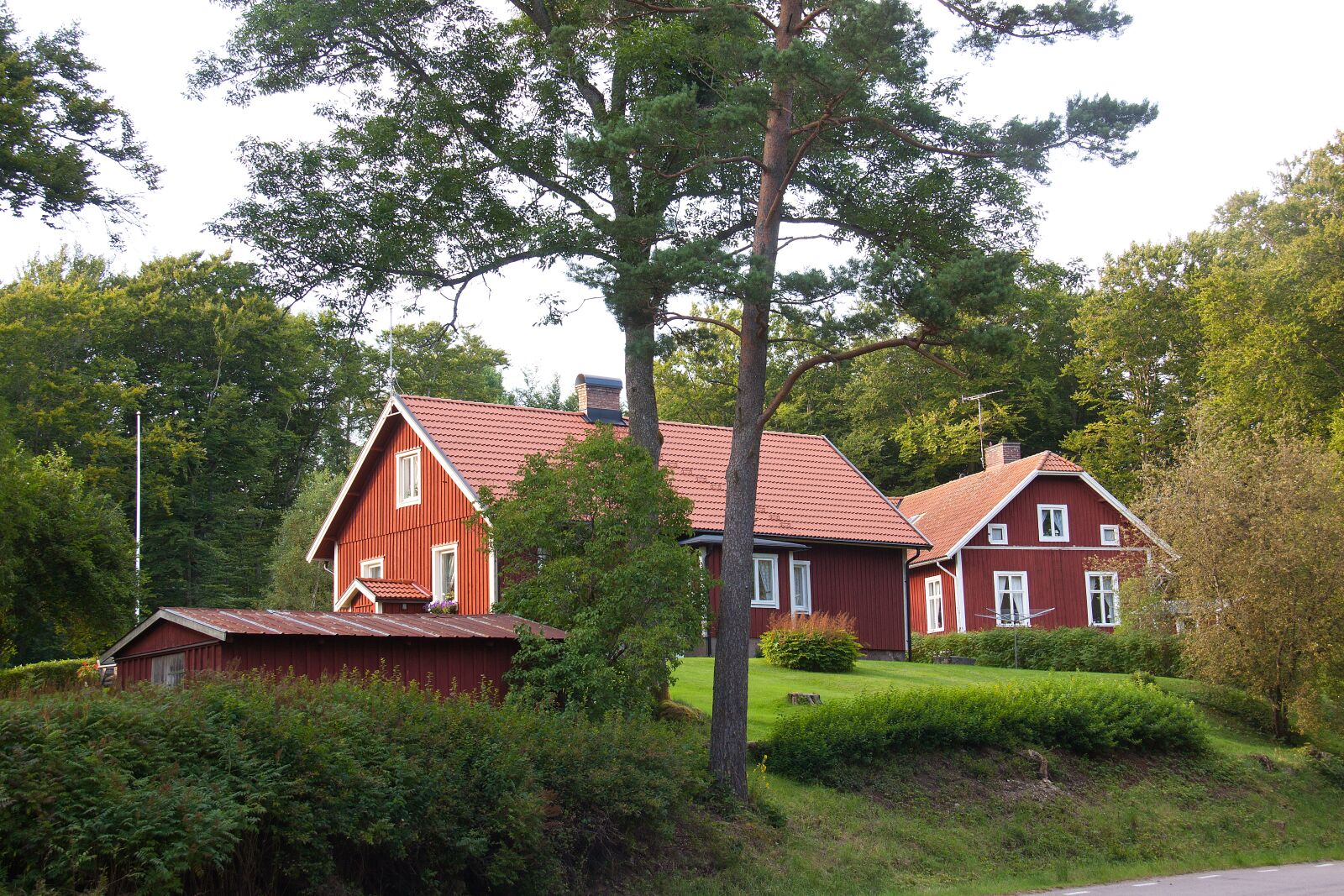 Canon EOS 50D sample photo. Forest, woods, house photography