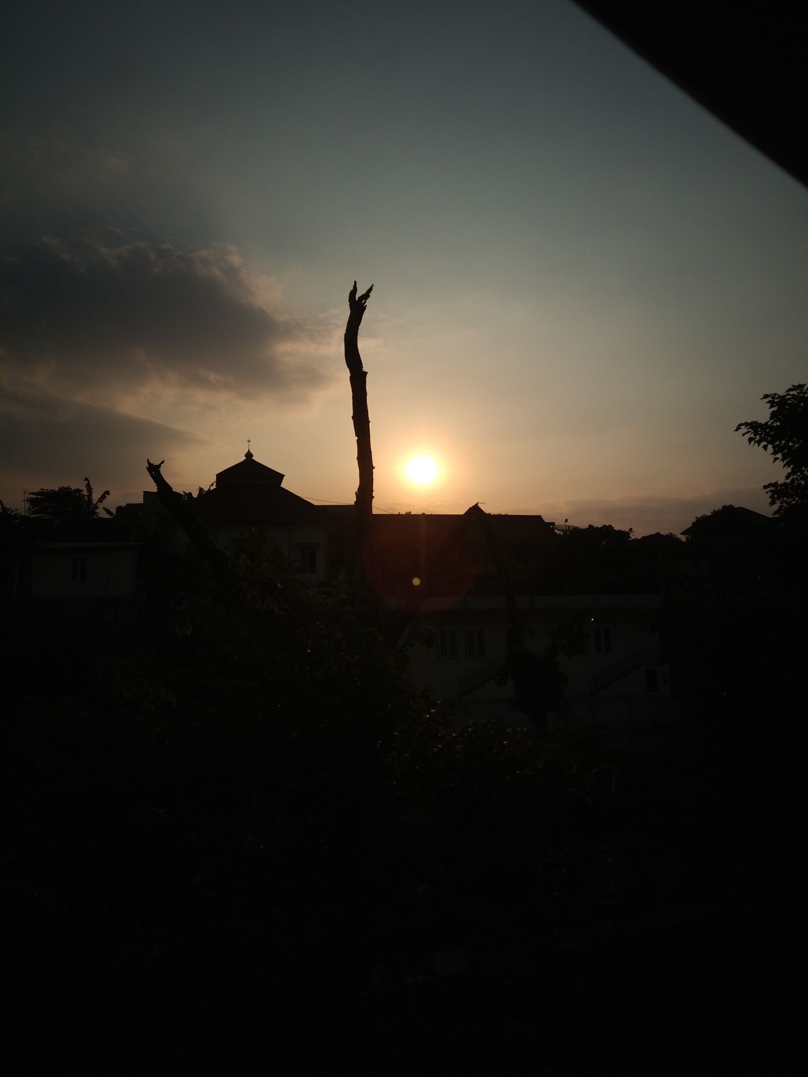 vivo 1817 sample photo