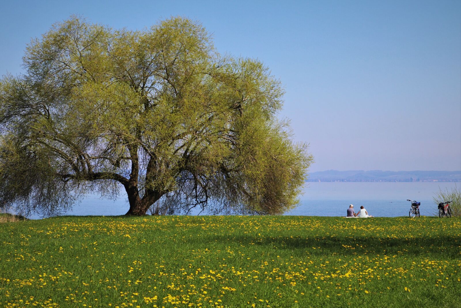 Canon EOS 80D sample photo. Landscape, meadows, picnic photography