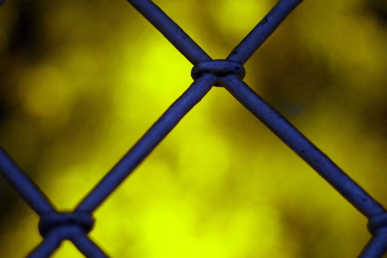 Pentax K-S2 sample photo. Grating, trellis, fencing photography